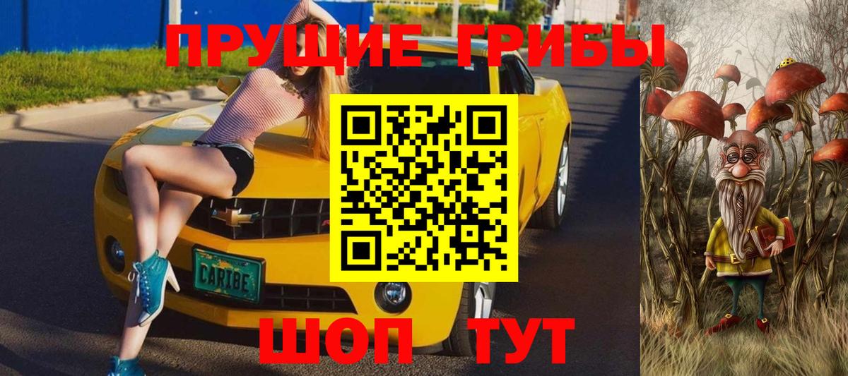 Галлюциногенные грибы Psilocybe  Вход с VPN  Псилоцибиновые грибы Psilocybine cubensis  продажа наркотиков  Тосно 