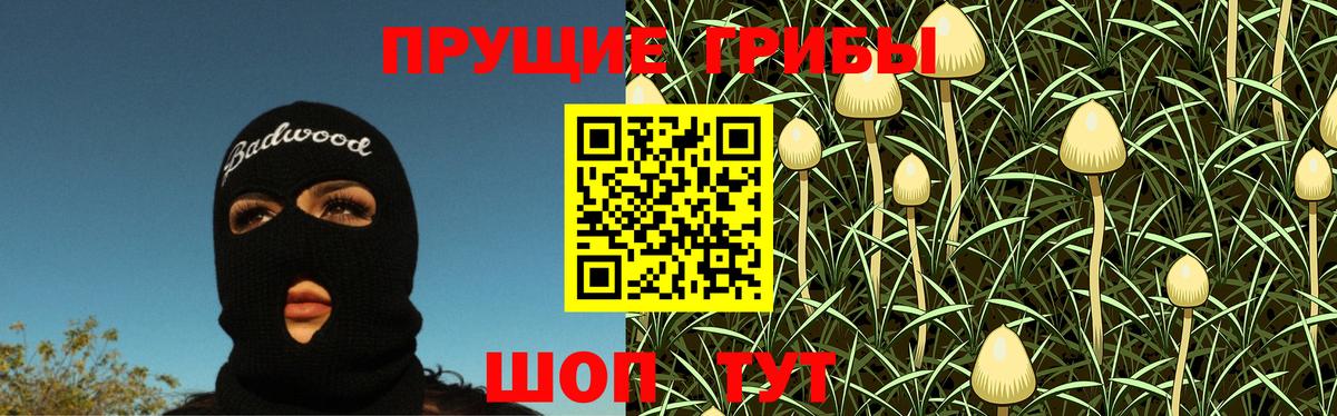 Галлюциногенные грибы ЛСД Тосно